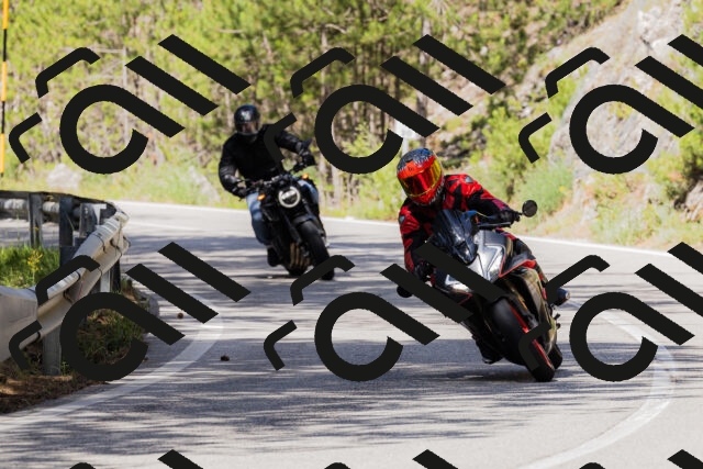 202506281046-_04A4330_c3_