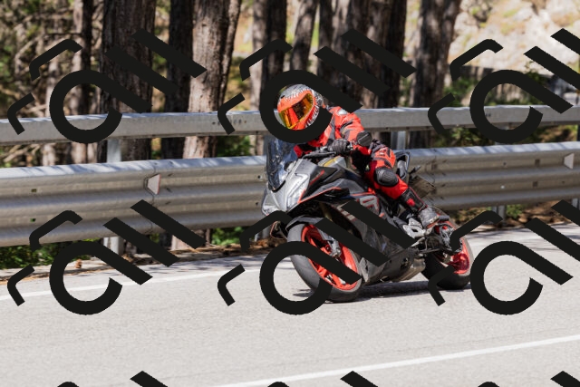 202506281046-_04A4331_c3_