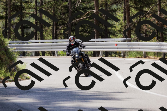 202506281049-_04A4336_c3_