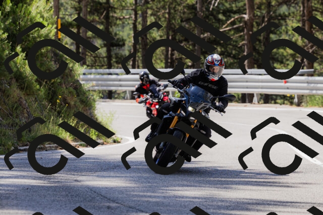 202506281049-_04A4337_c3_