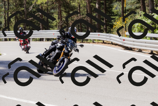 202506281049-_04A4338_c3_