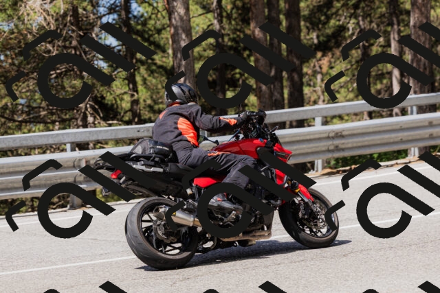 202506281049-_04A4342_c3_