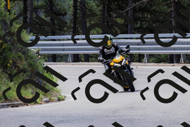 202506281051-_04A4343_c3_