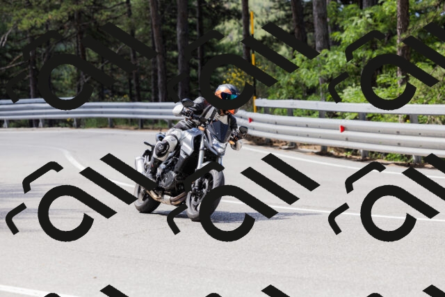 202506281051-_04A4346_c3_