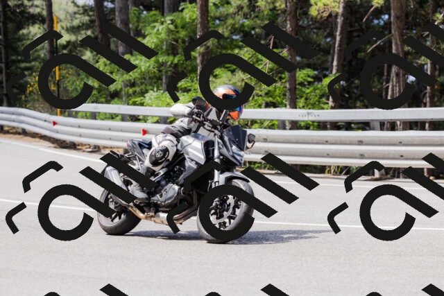 202506281051-_04A4347_c3_