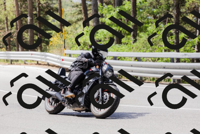 202506281051-_04A4350_c3_