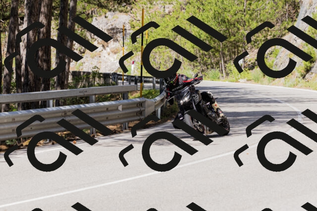 202506281057-_04A4374_c3_