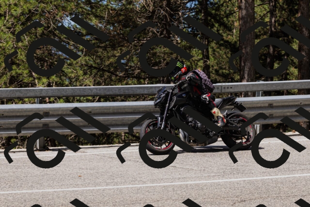 202506281057-_04A4375_c3_