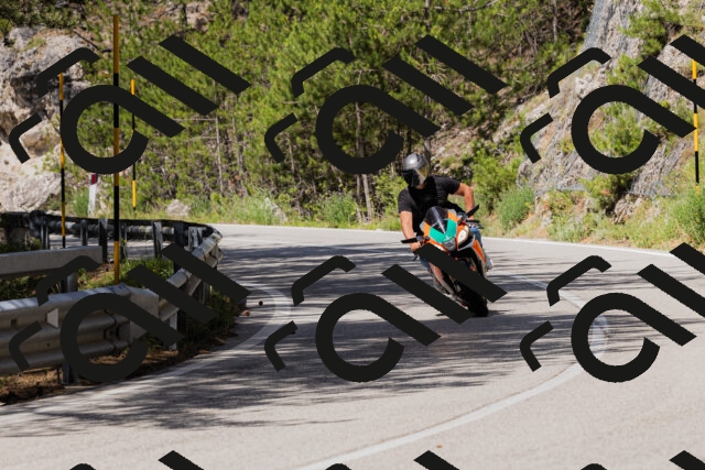 202506281058-_04A4383_c3_