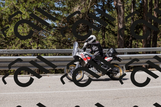 202506281106-_04A4397_c3_