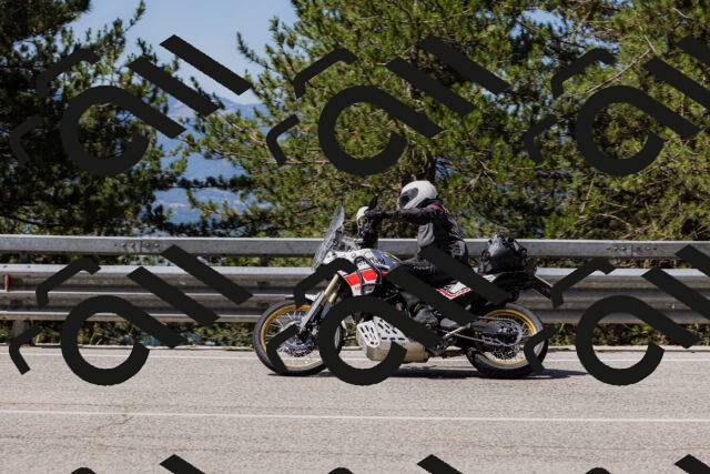 202506281106-_04A4398_c3_