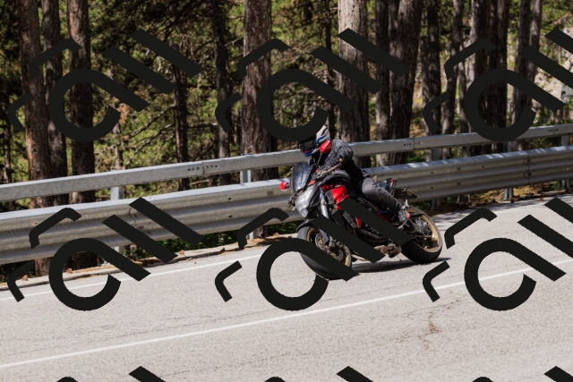 202506281109-_04A4404_c3_