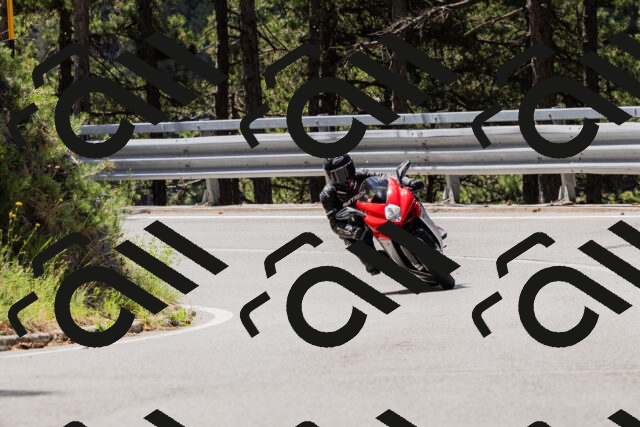 202506281112-_04A4418_c3_