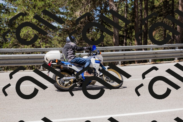 202506281113-_04A4427_c3_