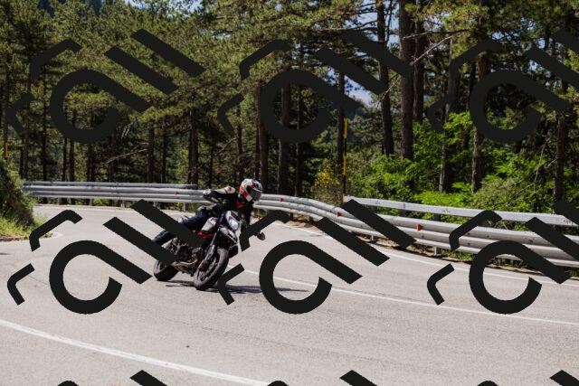 202506281113-_04A4429_c3_