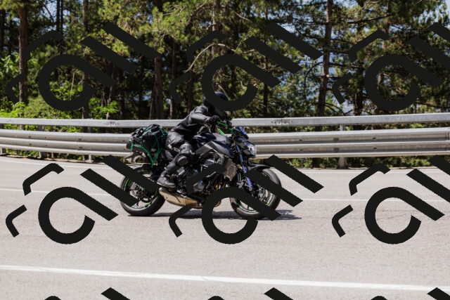 202506281118-_04A4439_c3_