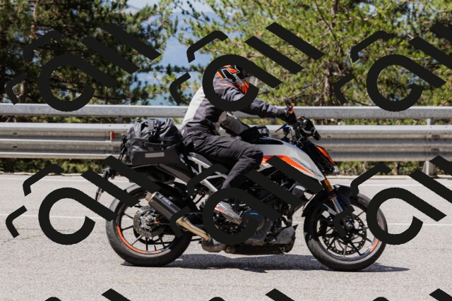 202506281118-_04A4440_c3_