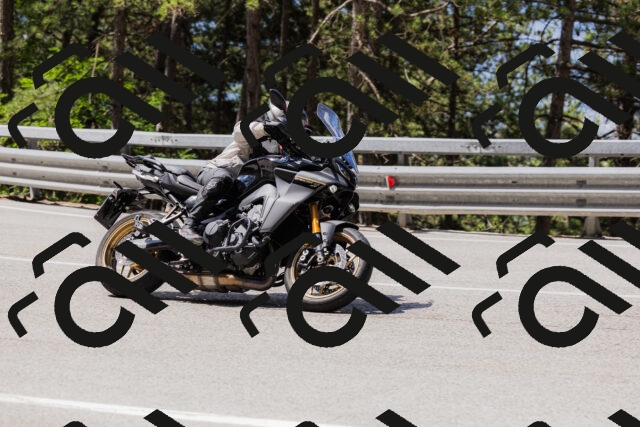 202506281120-_04A4465_c3_