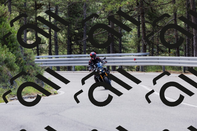 202506281129-_04A4502_c3_