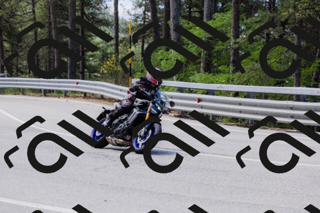 202506281129-_04A4503_c3_