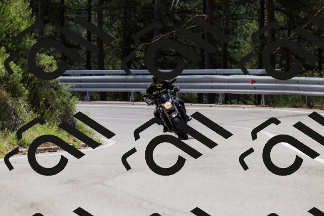 202506281129-_04A4515_c3_