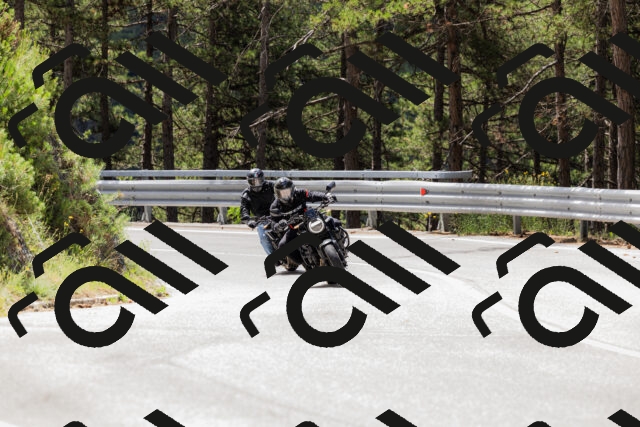 202506281129-_04A4519_c3_