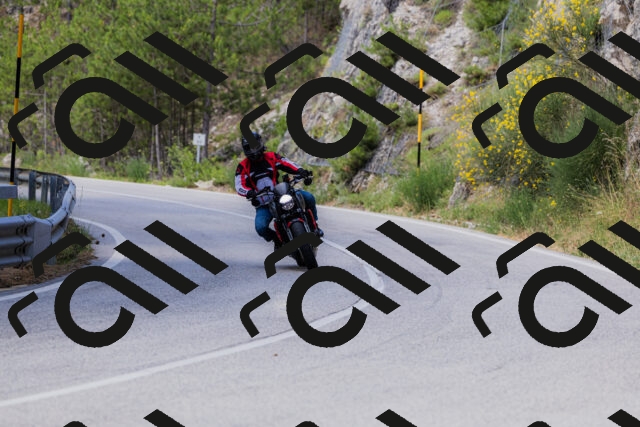 202506281132-_04A4542_c3_