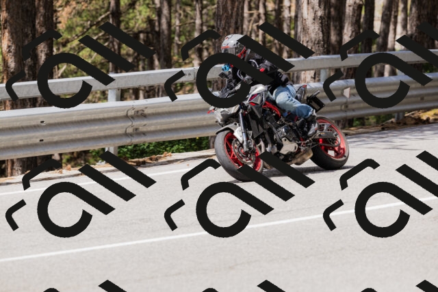 202506281134-_04A4557_c3_