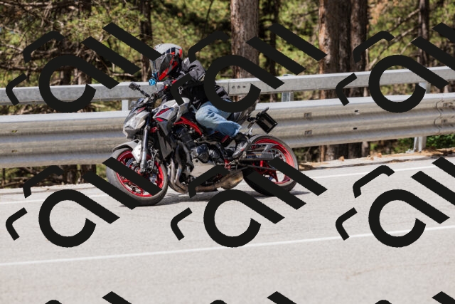 202506281134-_04A4558_c3_