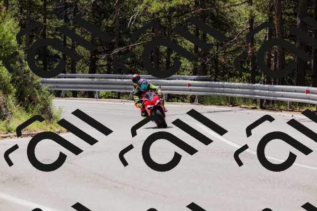 202506281137-_04A4591_c3_