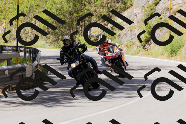 202506281138-_04A4599_c3_