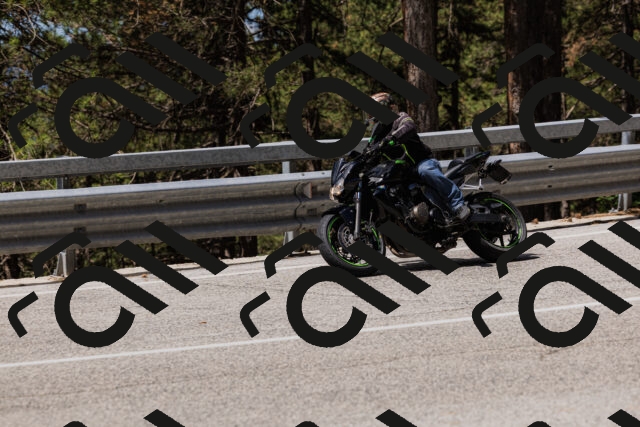 202506281138-_04A4600_c3_