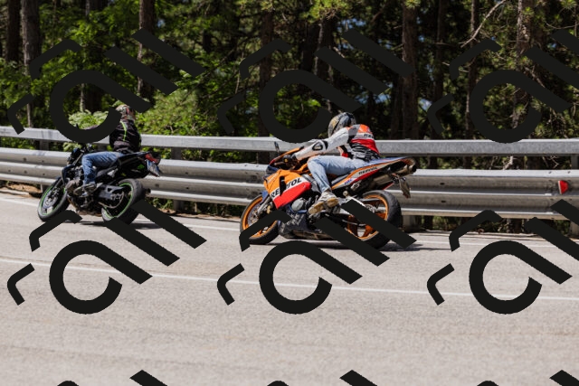 202506281138-_04A4603_c3_