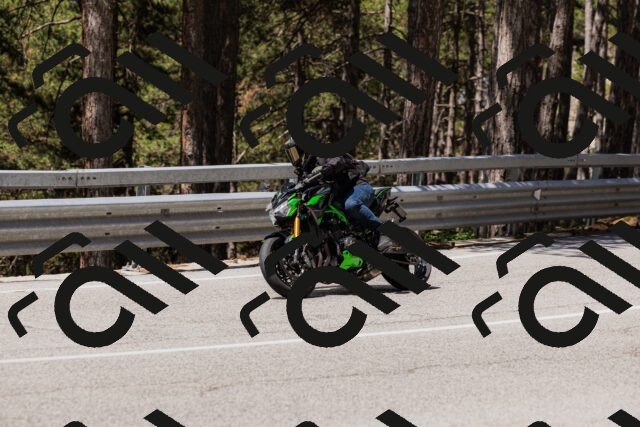 202506281138-_04A4610_c3_