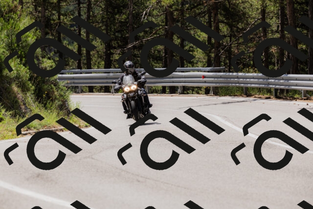 202506281139-_04A4619_c3_