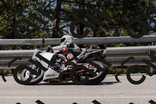 202506281142-_04A4635_c3_