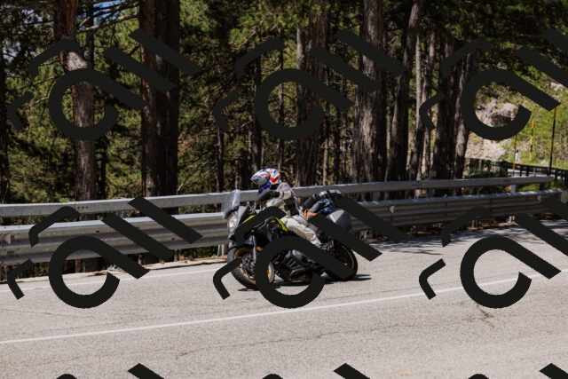 202506281144-_04A4643_c3_