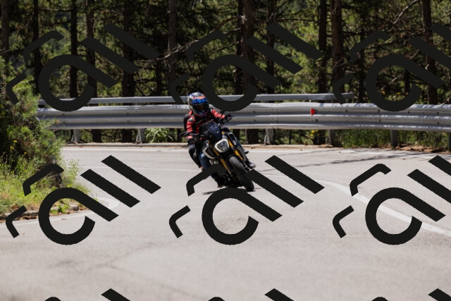 202506281150-_04A4686_c3_