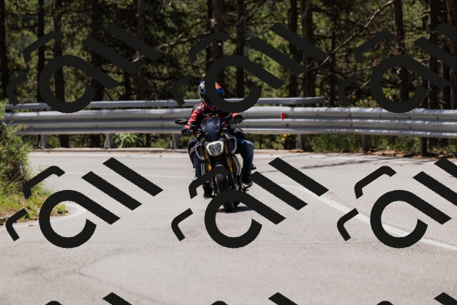 202506281150-_04A4687_c3_