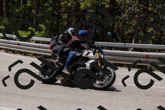 202506281150-_04A4688_c3_