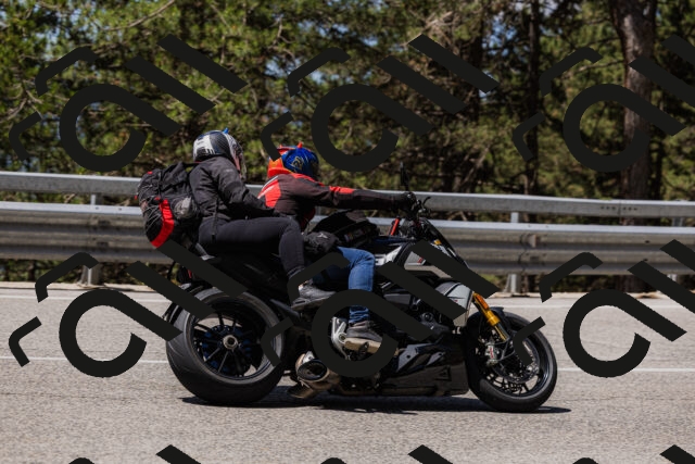 202506281150-_04A4690_c3_