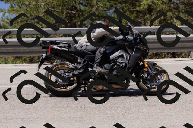 202506281150-_04A4691_c3_