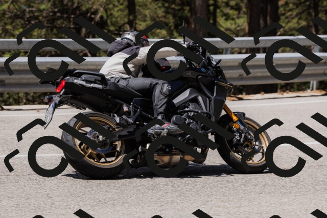 202506281150-_04A4692_c3_