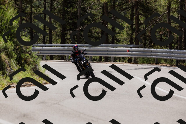 202506281152-_04A4694_c3_