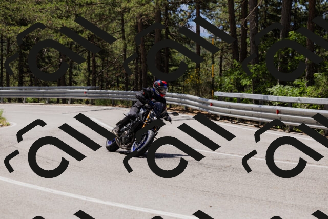 202506281152-_04A4696_c3_