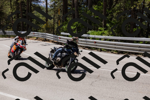 202506281153-_04A4704_c3_