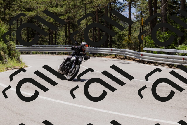 202506281153-_04A4712_c3_