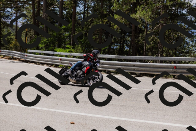 202506281156-_04A4738_c3_