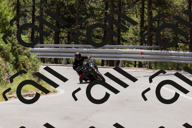 202506281205-_04A4810_c3_