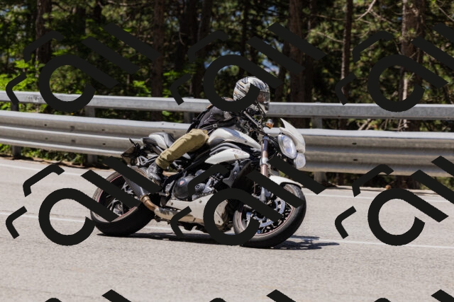 202506281205-_04A4818_c3_